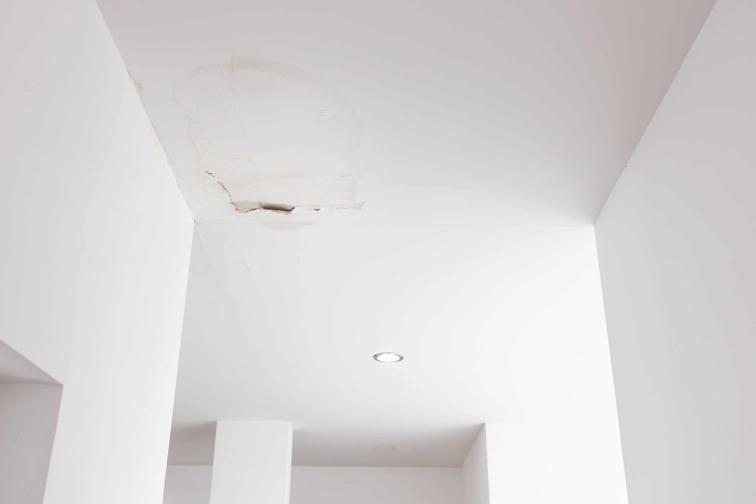 Signs Your Home Needs Emergency Water Damage Restoration Fast